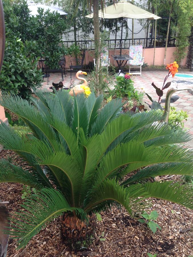 Villa Gardenia อูเรคี ภายนอก รูปภาพ